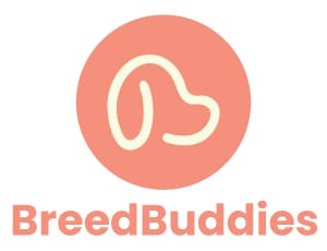 BreedBuddies logo featuring a minimalist dog outline inside a peach circle with 'BreedBuddies' written in bold, peach-colored font below